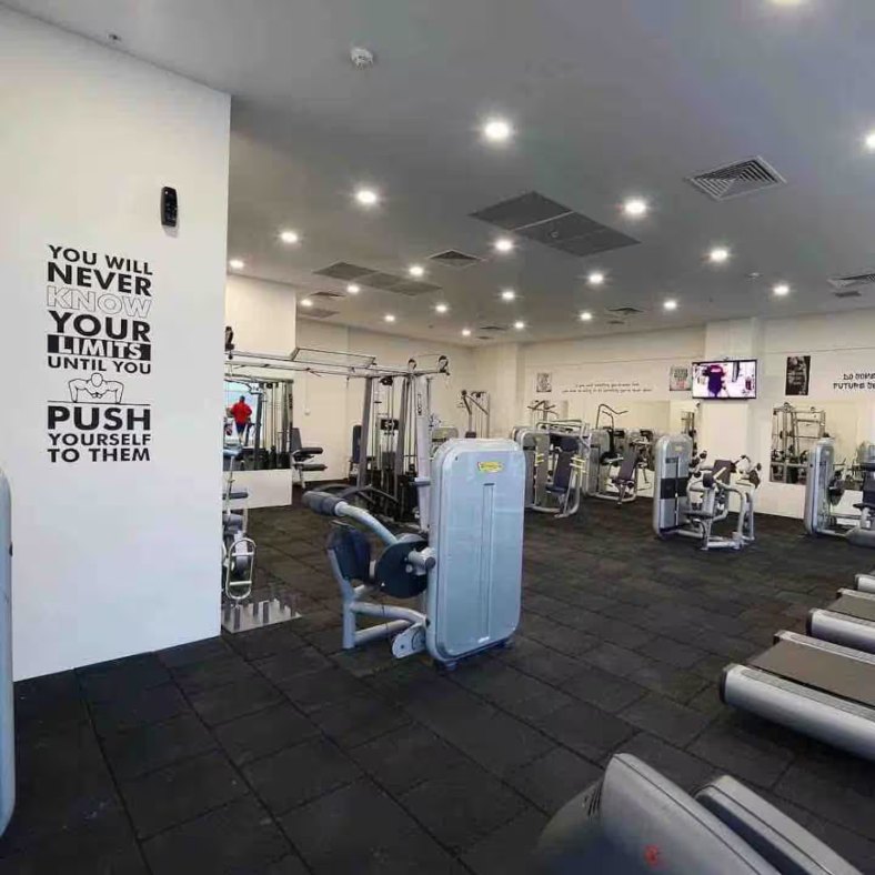 Sky Wellness fitness center with cardio and strength equipment